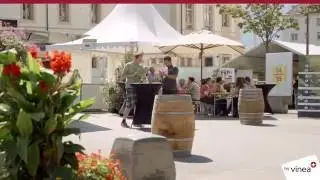 Salon VINEA des vins suisses 2016 | Salon VINEA der Schweizer Weine 2016