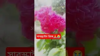 কি ভাবো সবাই তোমাকে ভালোবাসে#shorts#viralvideo#flashtok