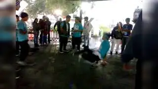 kiosco battle/ B-Boy Ares