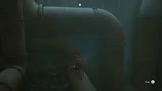 Stray Speed Run!!