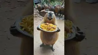 🔥 Capibara Sings the Chicken Wing Song & Dances! 🐹🎶