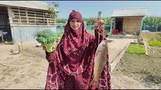 অনেক দিন পর ব্রকলি দিয়ে রুইমাছ ও উত্তরবঙ্গের বিখ্যাত বড়ি দিয়ে রান্না করলাম । village life with jui