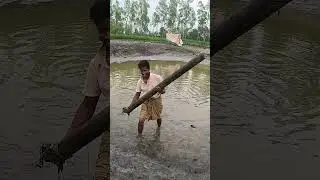 Amazing Traditional Village Fishing Trap Using Bamboo Pipe #fish #fishing