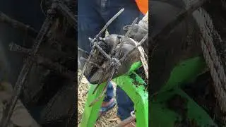 Satisfying Cow Hoof Care &ndash; Trimming, Cleaning & Screw Nail Removal! 0428