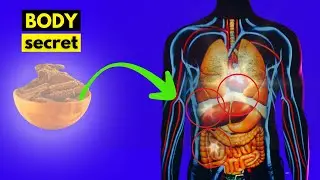 Use Indian costus and feel the magic happening in your body--benefits Indian costus