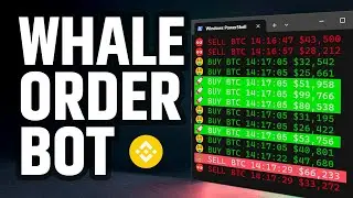 Track Whale Orders: Binance Spot Orders Bot | SwatCat Series Part 1 (2025)