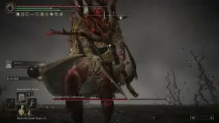Elden Ring - Radagon and Elden Beast vs Impenetrable Thorns NG+5 gameplay