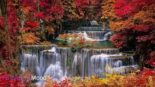 🟣HIGH LEVEL GAMMA WAVES FOR FOCUS | 130 HZ GAMMA WAVES | RELAXATION MUSIC | BINAURAL BEATS🟣