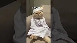#eid on my family🌙#cat funny👀video