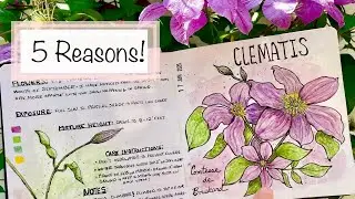 How to Start a Garden Journal! Sketchbook Ideas
