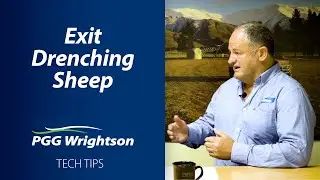 Exit Drenching Sheep | PGG Wrightson Tech Tips