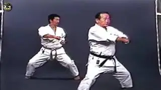 SHOTOKAN karate - The Nakayama - Tekki Shodan Kata and Bunkai (Каратэ Шотокан Накаямы)