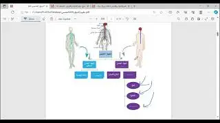 الجهاز العصبي لدى الإنسان وبنية الدماغ  ( الجزء الأول ) ( علم الأحياء والأرض للصف التاسع )