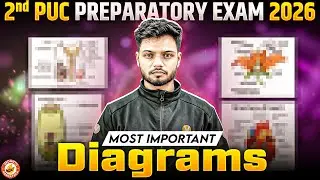2nd PUC Preparatory Exam : Most Important Diagrams Biology 🔥 | Basavaraj Sir