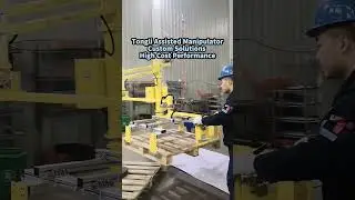 Pallet stacking lifting manipulator