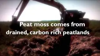 PittMoss&reg; for healthy plants