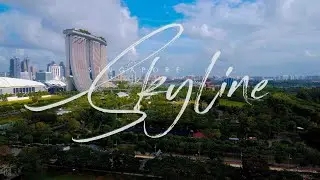 SINGAPORE  |  Skyline