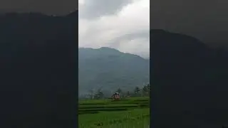 sore menjelang magrib #nature #shortvideo #natural #naturesounds #naturephotography