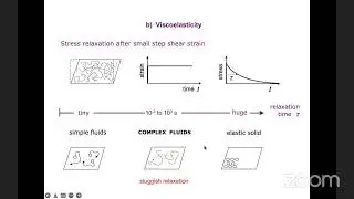 BSS2022, S. Fielding, Complex Fluids (Theory) I, July 25