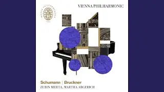 Christoph Wimmer-Schenkel on Schumann's Piano Concerto