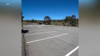 Kilauea Overlook parking lot reopens after nesting nene family relocates