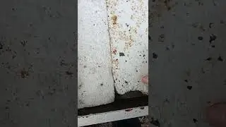 ОДНА РАМКА ПРИ  МИНУС 5 