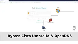Обход блокировки веб-сайтов Cisco Umbrella и OpenDNS