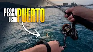 &iquest;QU&Eacute; SE PESCA EN LOS PUERTOS? 🤔 | CANTABRIA Y PA&Iacute;S VASCO🎣