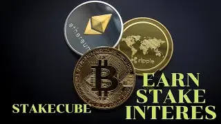 StakeCube | Faucet,Stake Reward and Interest