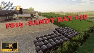 BALES EVERYWHERE! - FS19 Sandy Bay farm #19