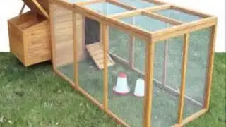 Chicken Coop Guide