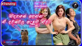 පරණ මතක අලුත් කරගන්න | @yashpereraproduction #Yash's world 
