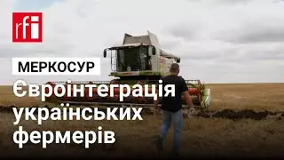 Одна країна, дві системи: як українським фермерам підготуватися до євроінтеграції