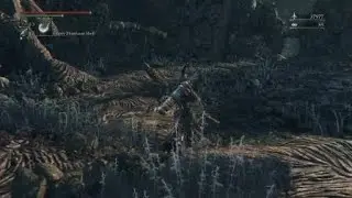 Bloodborne, beating amygdala