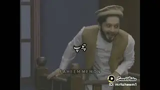 beautiful lawyer and pathaan fight |waqeel or pathaan ki ladai😱😡@DuckyBhai