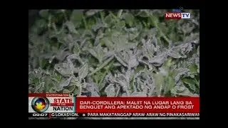 DAR-Cordillera: Maliit na lugar lang sa Benguet ang apektado ng andap o frost
