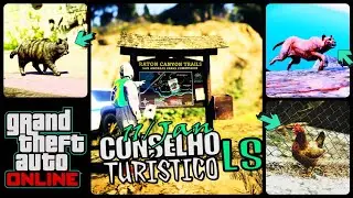 CONSELHO TUR&Iacute;STICO LS: FOTOGRAFE ESSES 3 ANIMAIS HOJE NO GTA 5 ONLINE 