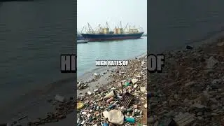 The Alarming Secrets of Shipbreaking Yards