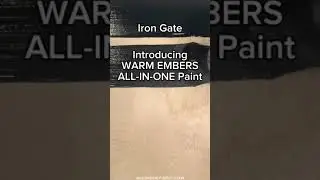 What is the best Warm Black Paint color?
