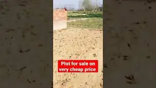plot for sale in bareilly uttar Pradesh on very cheap price