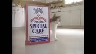 Purina | Cat Chow Special Care | 1995