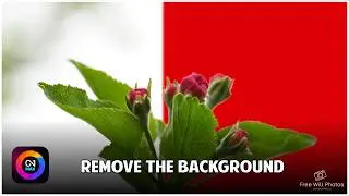 ON1 Photo RAW 2026 Background Removal Tutorial | Cut Out Subjects With New Masking Tools