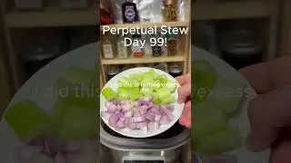 Day 99 Perpetual Stew #perpetualstew #cooking #stew #soup #easymeals