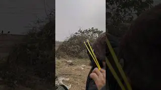 Mena long Dtrance hunting with slingshot #ytshorts #shorts #youtubeshorts #trending #tips