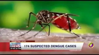 174 Suspected Dengue Cases (TVJ Prime Time News) January 19 2019
