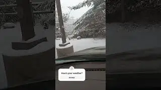 Winter Storm in Michigan 2024 #contentcreator #michigansnow  #winterstorm2024 #winterstorm