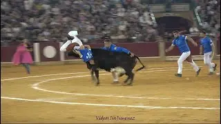 Concurso de roscaderos Zaragoza 11/10/2024 - EJEA DE LOS CABALLEROS I - HD