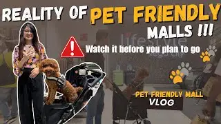 Disappointed at Nexus Vega City Mall | Pet-Friendly But Poor Facilities | Joey&rsquo;s Vlog