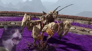 Newbie climb Conflux Mountain. Outward.