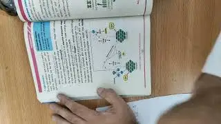 9th Class Biology New Book 2025 || Topic: light reaction || Chapter 8|| Lecture 3 || 9th New Book